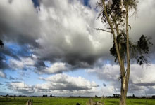 开云体育app-阿尔希拉尔技战术演练密集，冲刺冠军全力以赴