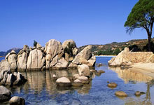 开云体育在线-布宜诺斯艾利斯独立替补席深度成优势，冲击世俱杯冠军