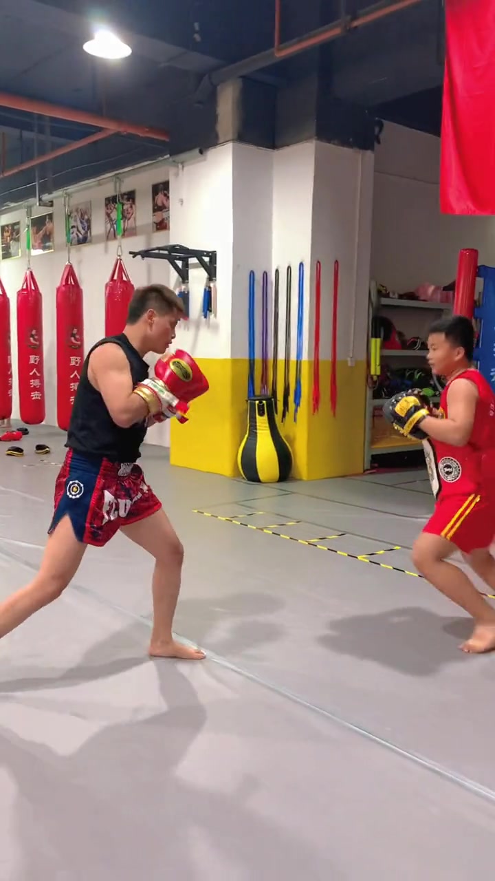 燃情热血，体育赛场上的搏击的简单介绍