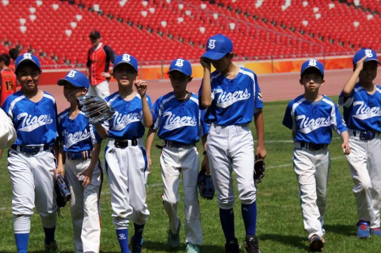 包含欧国联杯赛副将横扫强敌，棒球再创佳绩的词条