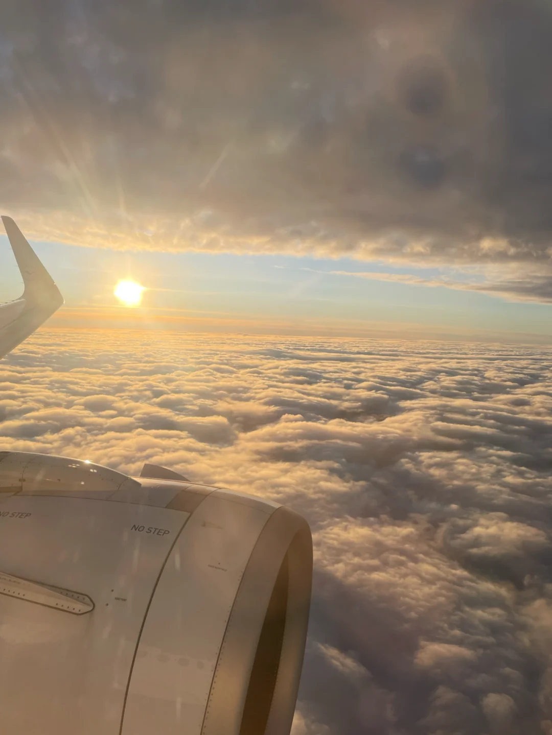 开云下载-德国凭一线之差险胜冰岛，晋级前景一片光明