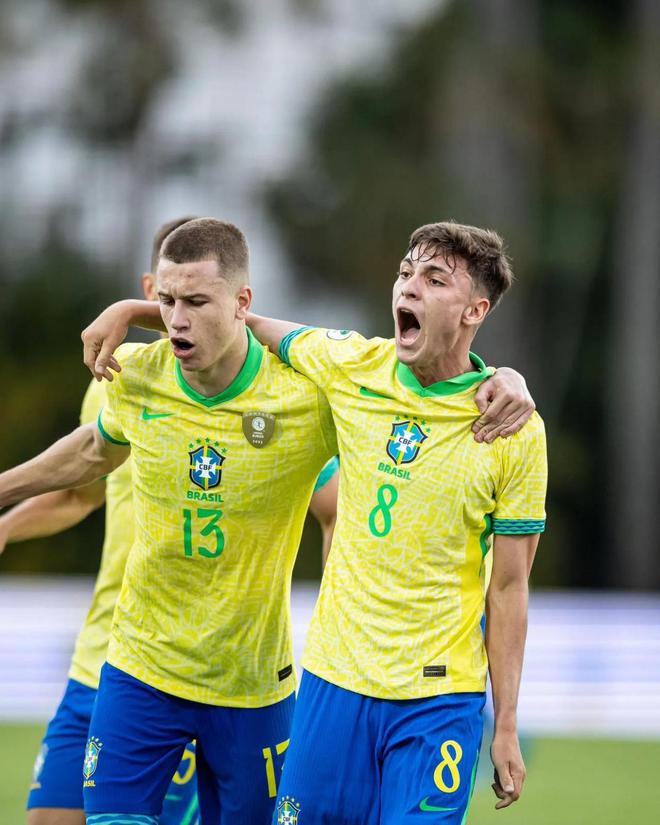 南美洲球队成员参加世界足球锦标赛获得重要胜利的简单介绍