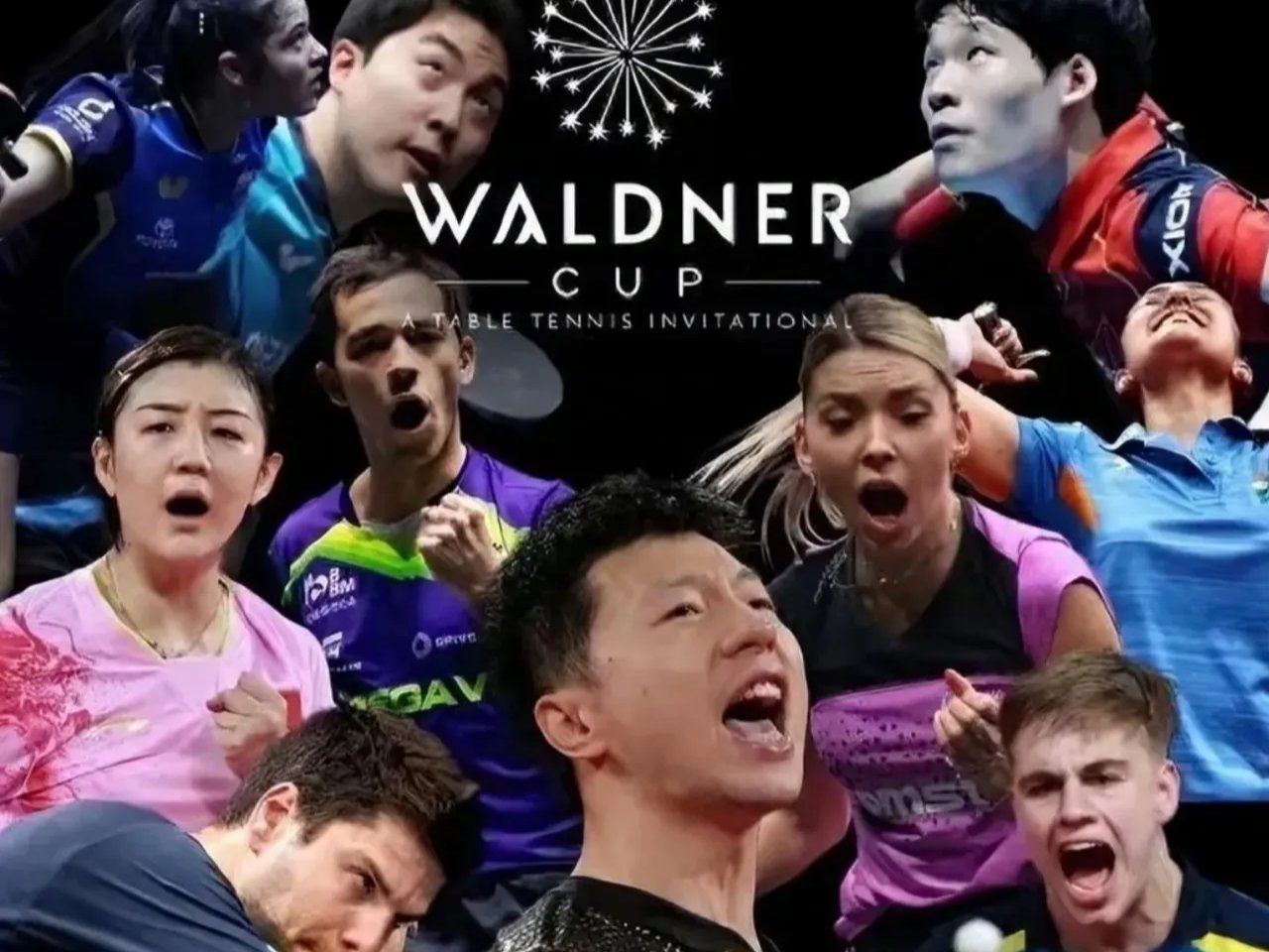 阿尔及利亚代表队迅速崭露头角，傲视群雄