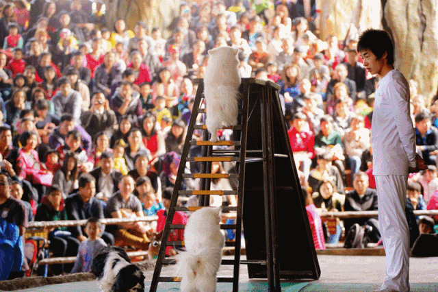 合作默契信手拈来，球队战术配合完美无缺