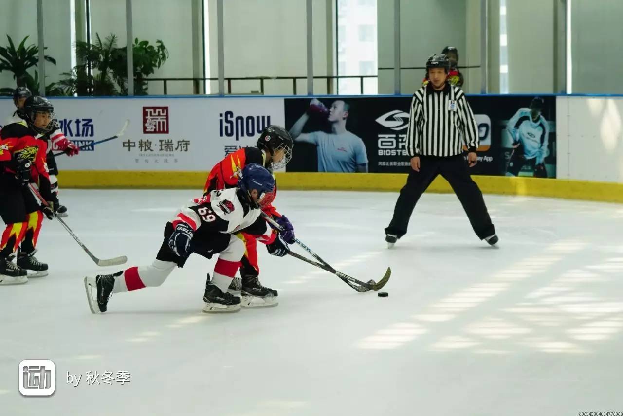 开云平台-俄罗斯队在比赛中力压群雄，夺得胜利的简单介绍