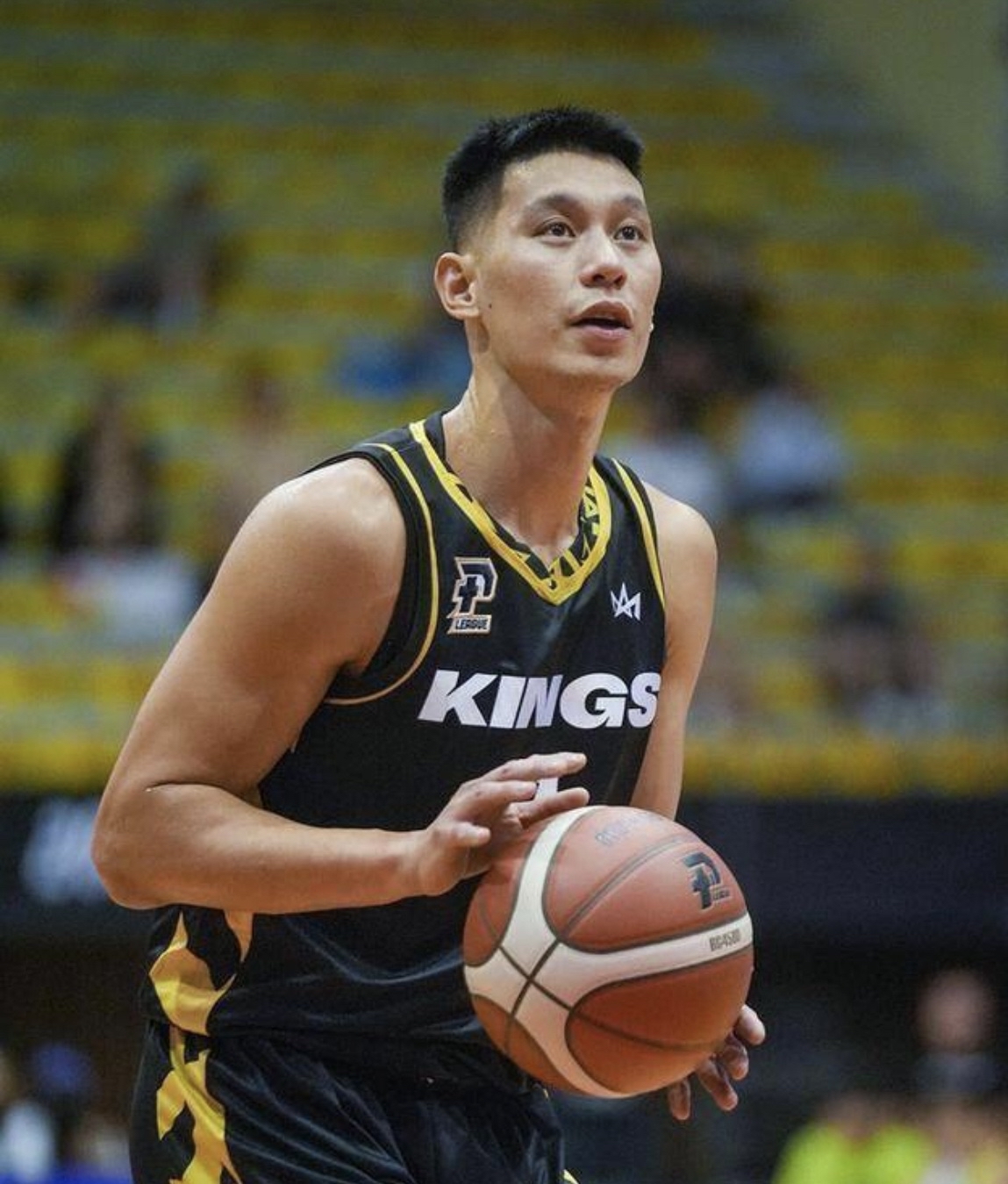 开云体育入口-尼克斯主场击败骑士，林书豪贡献全场最高得分