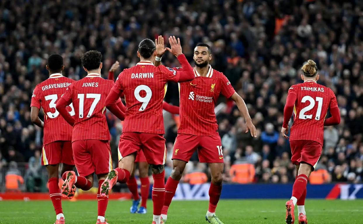 开云体育中国-利物浦逆袭晋级，欧冠赛场掀起波澜的简单介绍