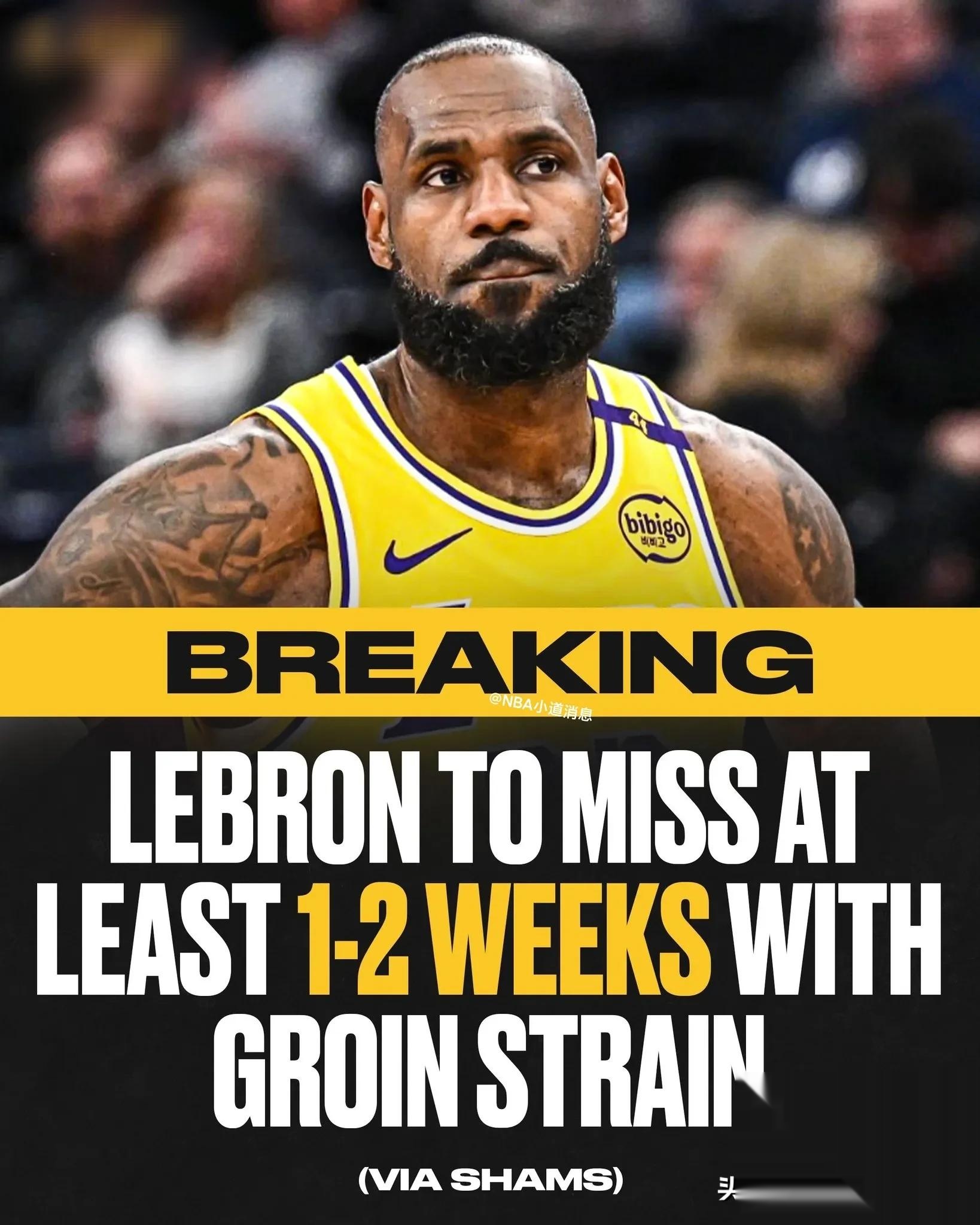 开云体育-詹姆斯效力湖人霸气晋级，将角逐总冠军