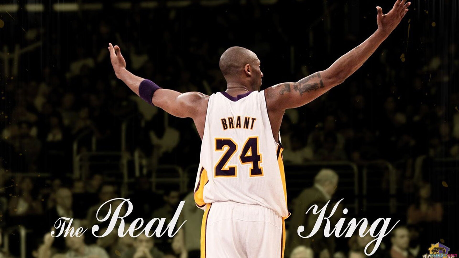 独一无二的表演，骑士单节拉开快船，米切尔焦点战接管比赛